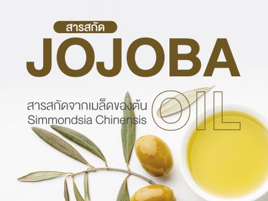 สารสกัด JOJOBA OIL